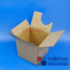 Boîte en carton ondulé extérieur Cubitainer 5 litres